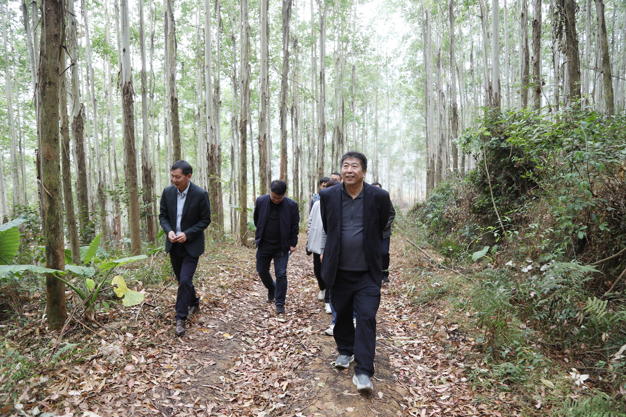 王大发到雷林公司调研并慰问一线干部职工