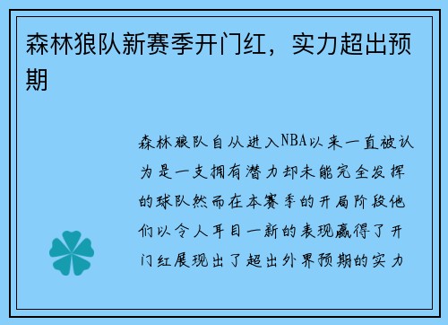 森林狼队新赛季开门红，实力超出预期